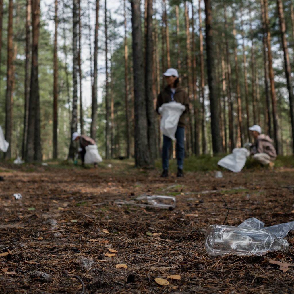 Wywożenie śmieci do lasu – co za to grozi?